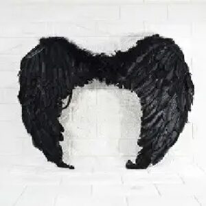 ALAS DE ANGELITO NEGRO