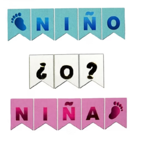 Banderin es niño o niña?